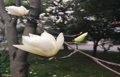 《医生特殊的治疗》中字