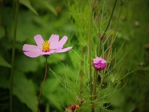 姐姐真漂亮mv完整版原唱