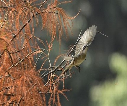 差差免费观看30分钟